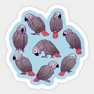 African Grey Parrot Flock Sticker